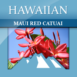 Hawaiian Maui Red Catuai