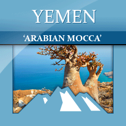 Yemen Mocha Sanini Coffee